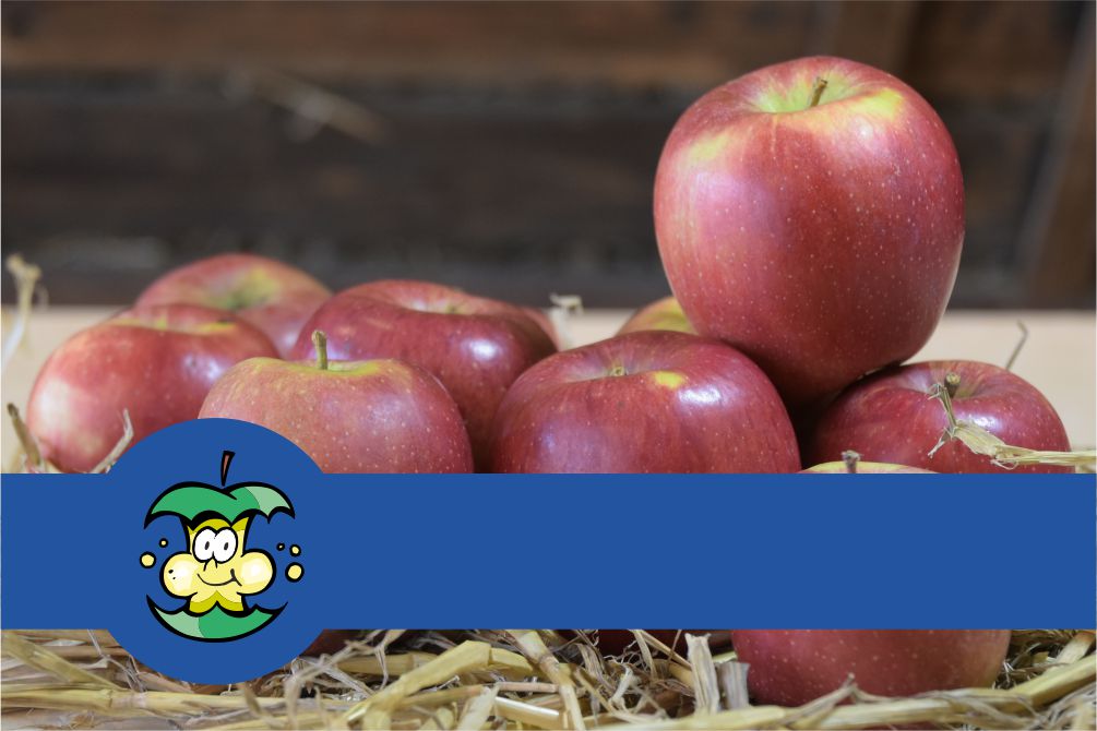 Braeburn Äpfel